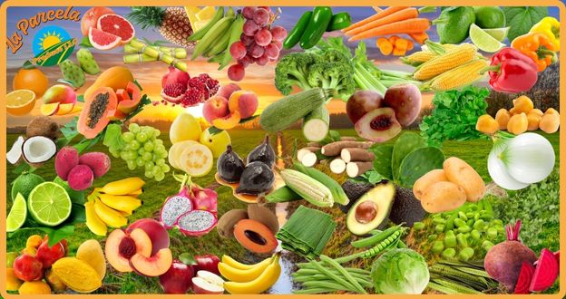 FRUTAS Y VERDURAS